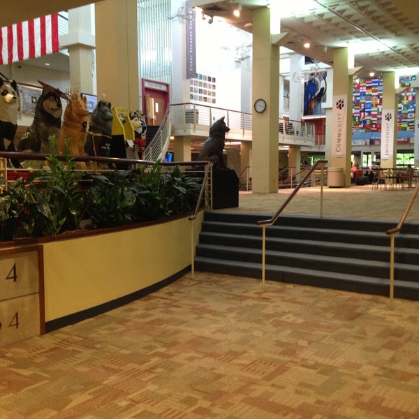 Curry Student Center Fenway Kenmore Audubon Circle Longwood