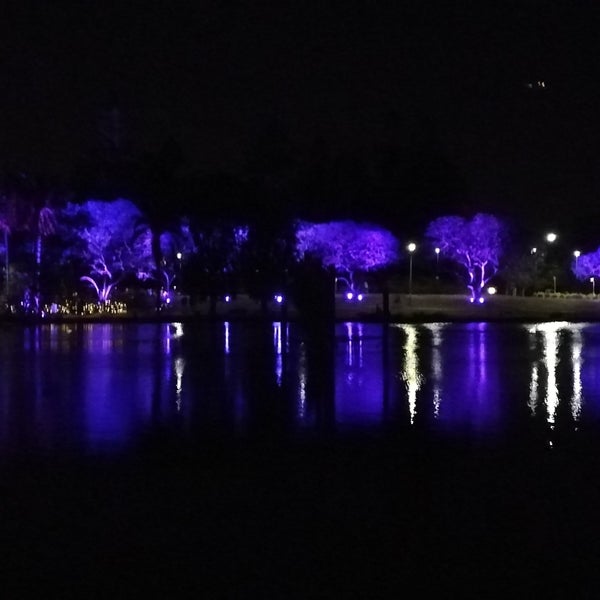 UQ Great Lake - 5 tips from 421 visitors