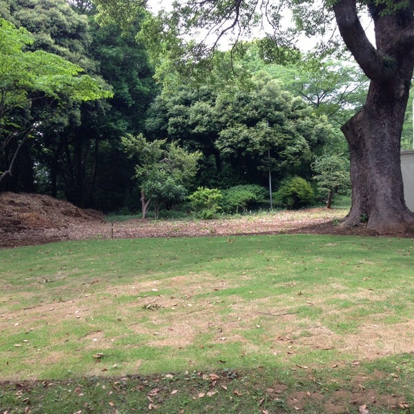 イギリス風景式庭園 松戸648