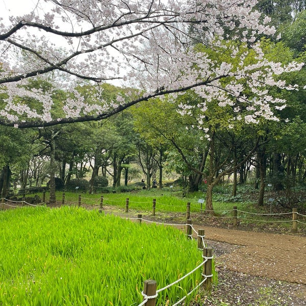 제주 한라수목원 전경 1