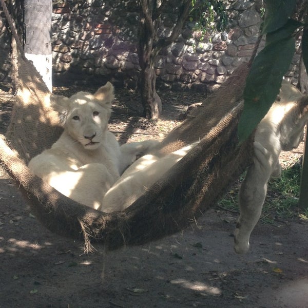 Photo taken at Zoo Parque Loro by Durán T. on 7/21/2013