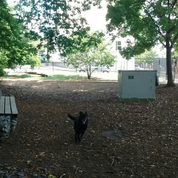 Secret Park Dog Park in Northern Liberties Fishtown