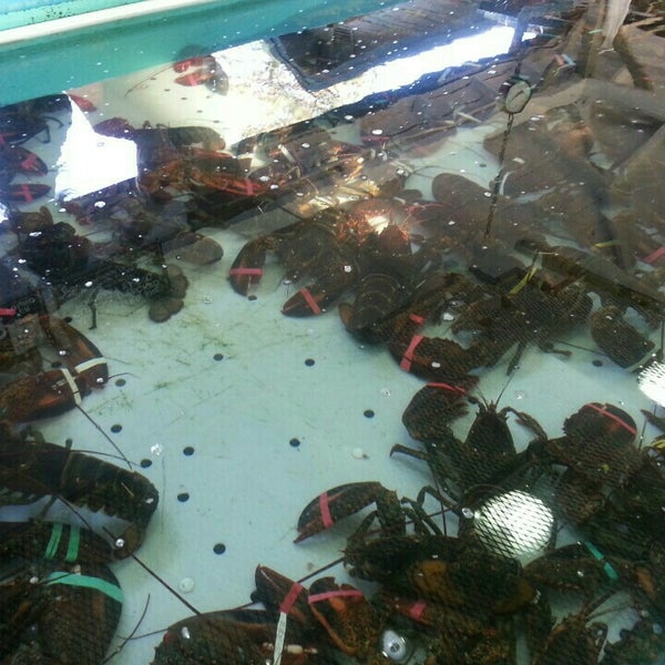6/13/2015에 alan p.님이 Ogunquit Lobster Pound Restaurant에서 찍은 사진