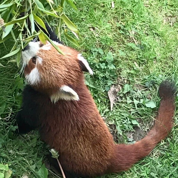 Photo taken at Wellington Zoo by Tomatoe on 1/11/2017