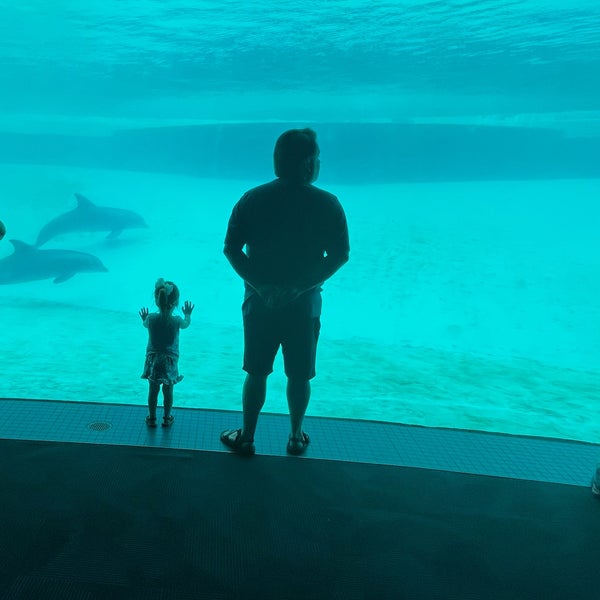 Foto tirada no(a) Texas State Aquarium por Doree T. em 3/10/2023