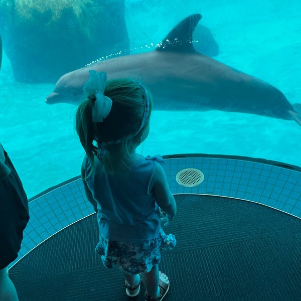 Foto tomada en Texas State Aquarium  por Doree T. el 3/10/2023