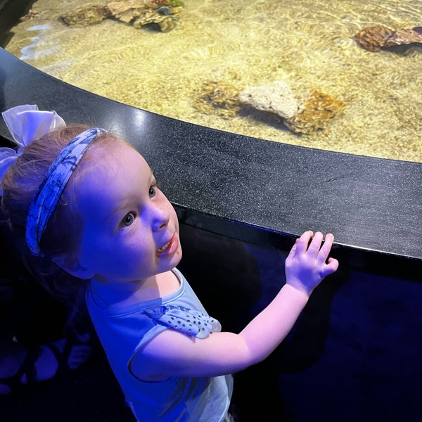 3/9/2023 tarihinde Doree T.ziyaretçi tarafından Texas State Aquarium'de çekilen fotoğraf