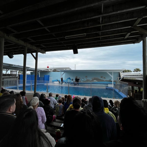 Foto diambil di Gulfarium Marine Adventure Park oleh Doree T. pada 3/9/2022