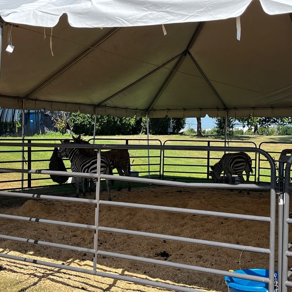 Foto tirada no(a) Lone Star Park por Doree T. em 6/25/2022