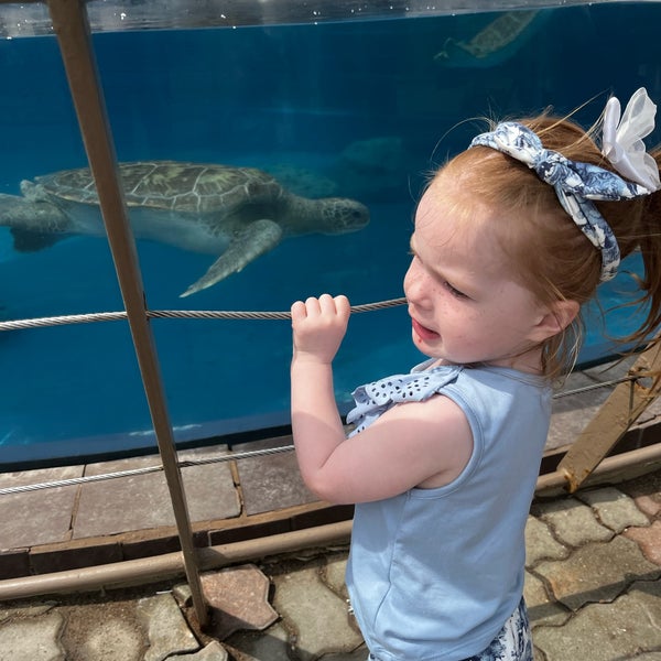 Photo taken at Texas State Aquarium by Doree T. on 3/10/2023