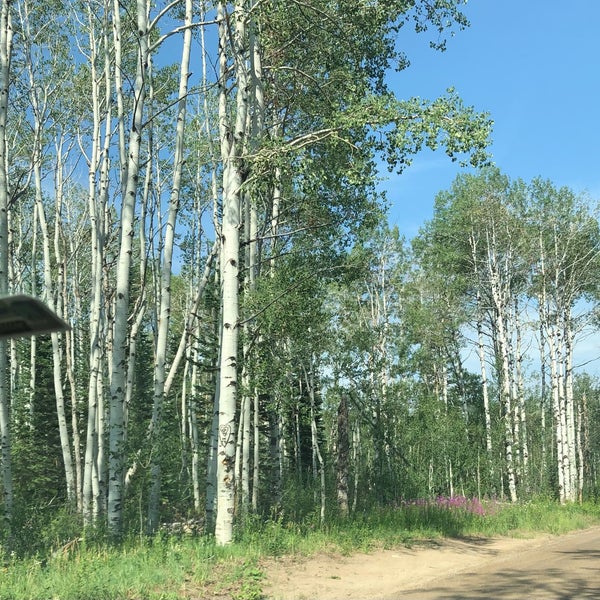 Купить Дом В Гремячках Богородского