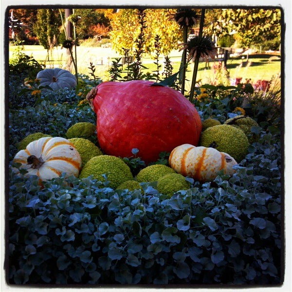 Photo taken at The Botanical Garden of the Ozarks by Barbara N. on 10/16/2012
