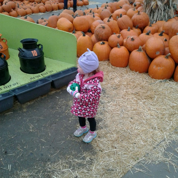 Foto tomada en Nick&#39;s Garden Center &amp; Farm Market  por Steve O. el 10/6/2016