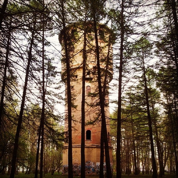 Березовая роща новомосковск проект