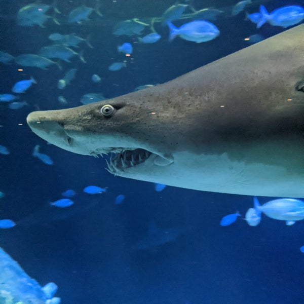 Photo taken at New York Aquarium by Mats L. on 10/21/2022