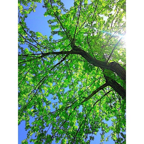 City of West Bountiful City