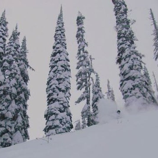 1/12/2013 tarihinde PowderMatt S.ziyaretçi tarafından Fernie Alpine Resort'de çekilen fotoğraf