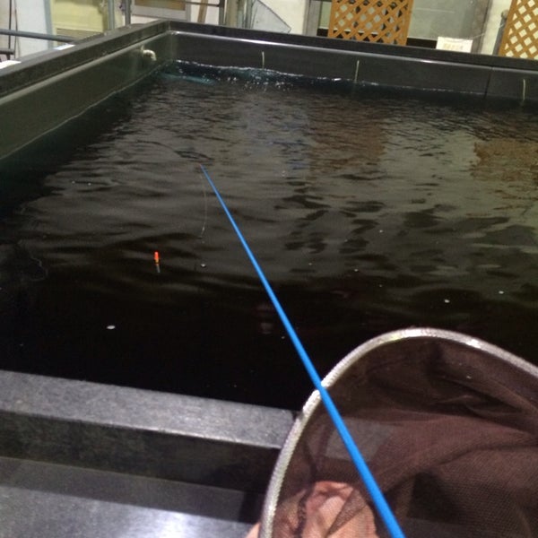 釣り堀太郎 Fishing Spot In 港北区