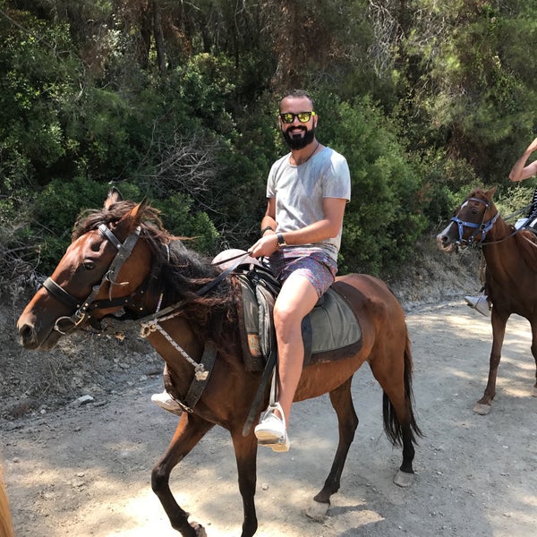 Photos At Laren Safari Park 1 Tip From 80 Visitors