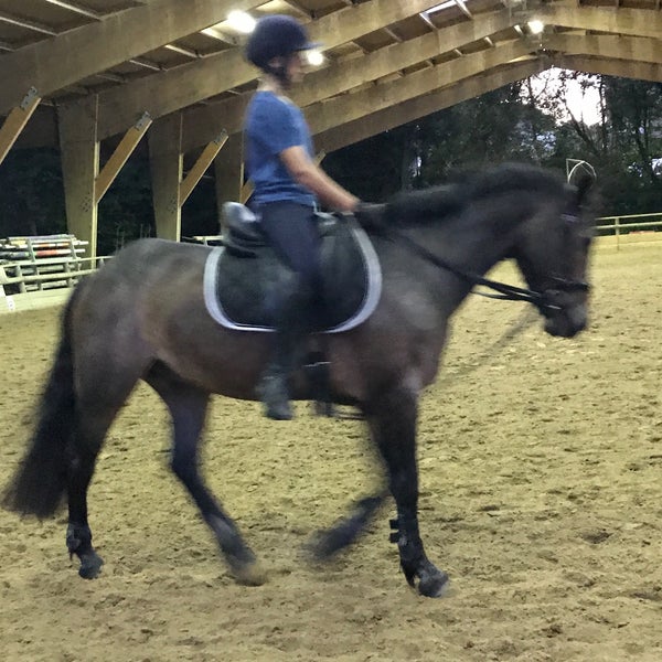 Centre Equestre D Antony Cea Ex Poneyland Parc Heller Antony Ile De France