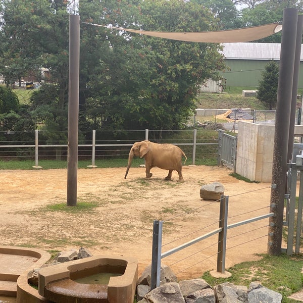 Снимок сделан в Maryland Zoo in Baltimore пользователем Kerry 🐶 F. 8/10/2021