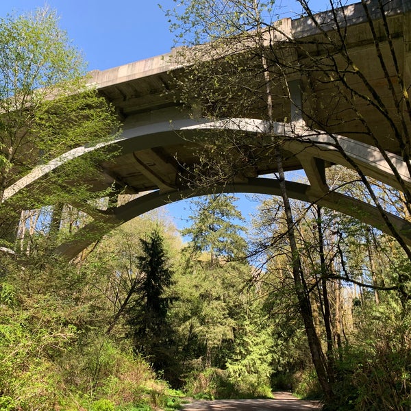 Ravenna Park Seattle, WA