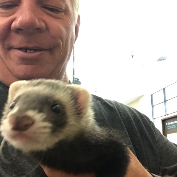 Petco Pet Supplies Store in Las Vegas