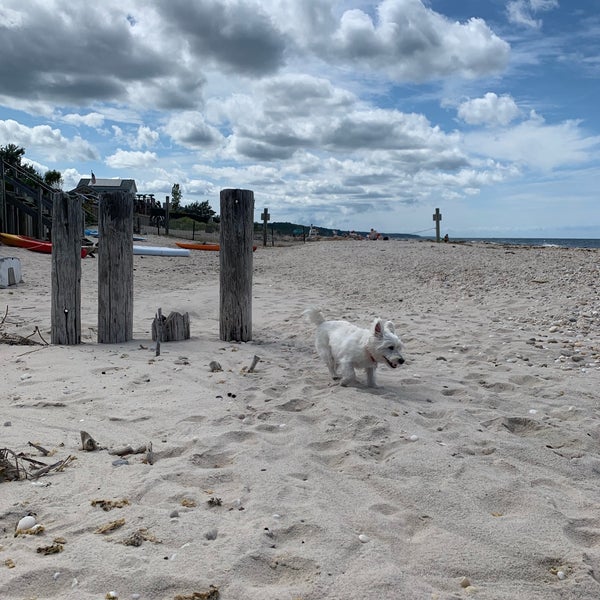 Wading River Beach 6 tips from 335 visitors