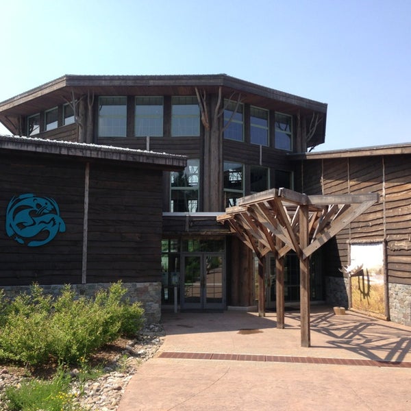 The Wild Center - 24 tips