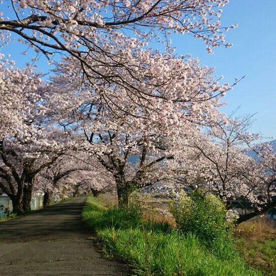 兵庫県立和田山高等学校 朝来市 兵庫県