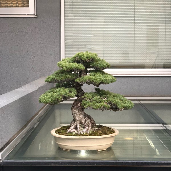 Jardins Des Fleurs 青山 0 Tips