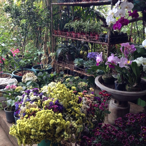Cartimar Greenland Plants And Orchids Garden Center in Pasay City