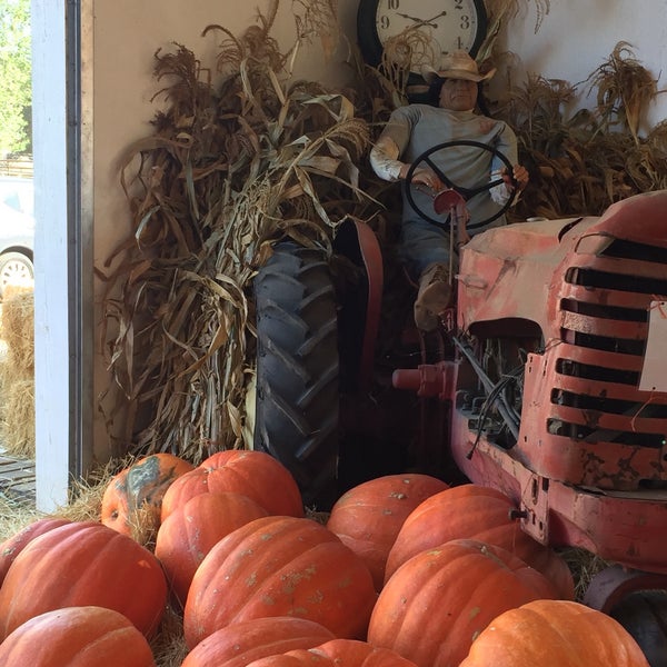 Mountain Valley Ranch Pumpkin Patch Farm