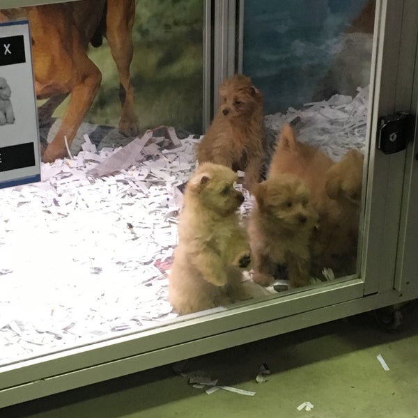 Upmarket Pets Pet Supplies Store in Melbourne