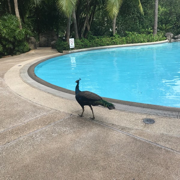 Foto scattata a Garden Pool @ Hilton Phuket Arcadia Resort &amp; Spa da Владимир М. il 8/28/2018
