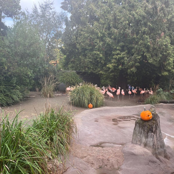 Photo taken at Woodland Park Zoo by Eve K. on 10/29/2022