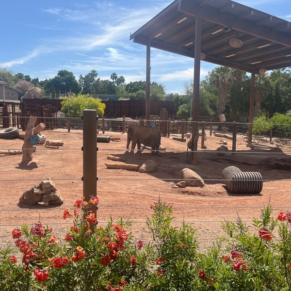 Das Foto wurde bei Phoenix Zoo von Eve K. am 4/15/2022 aufgenommen