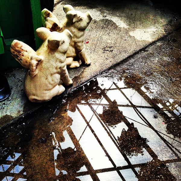 Vilt's Nursery Wilmington, IL