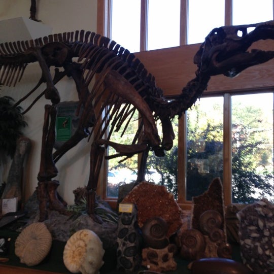 Photo taken at The Dinosaur Place at Nature&#39;s Art Village by 🐸Julie🍀🌺 B. on 10/12/2012