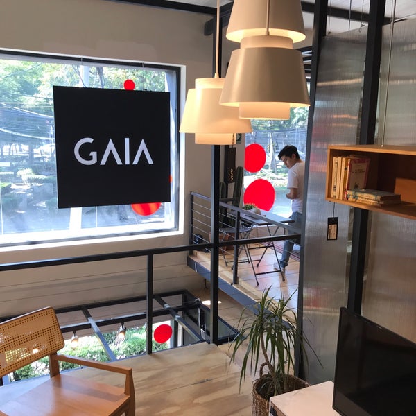 Tienda Gaia Design Roma Norte 1 Tip Tienda Gaia Design Roma Norte