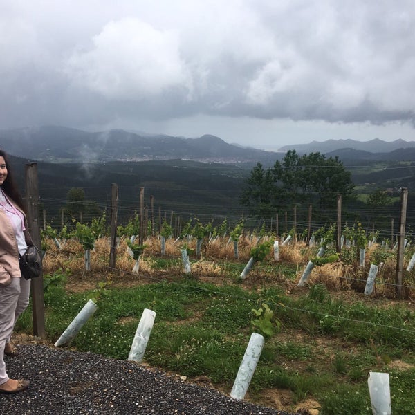 6/8/2017 tarihinde Maria K.ziyaretçi tarafından Bodega Berroja'de çekilen fotoğraf