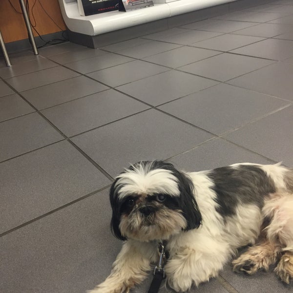 Rusty Wallace Nissan - Knoxville, TN