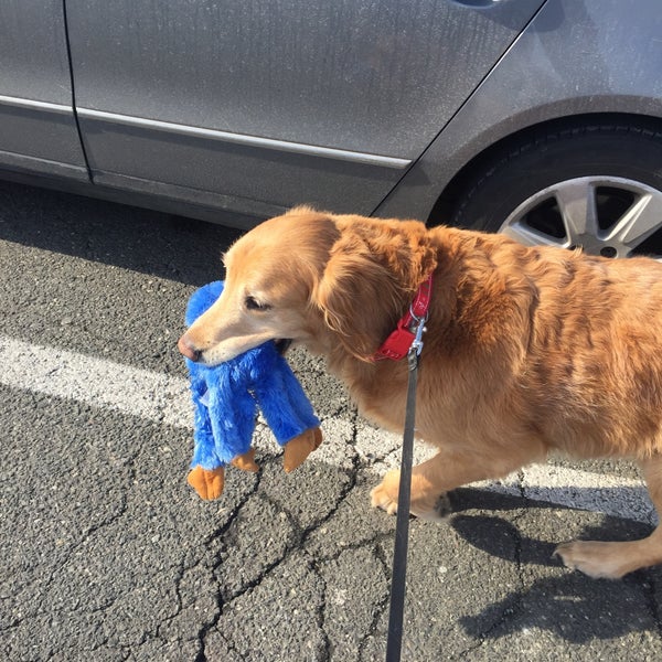 dr karen's critter care