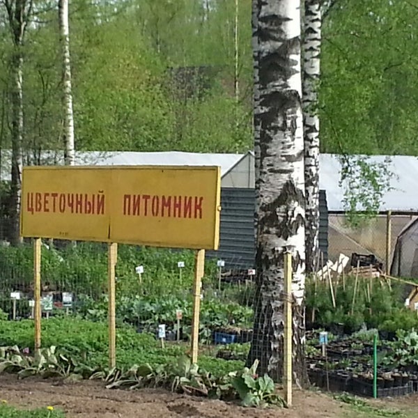 Новая киреевка тульская область питомник. Гагаринский питомник саженцы. Калужская область Обнинск питомник рассады.