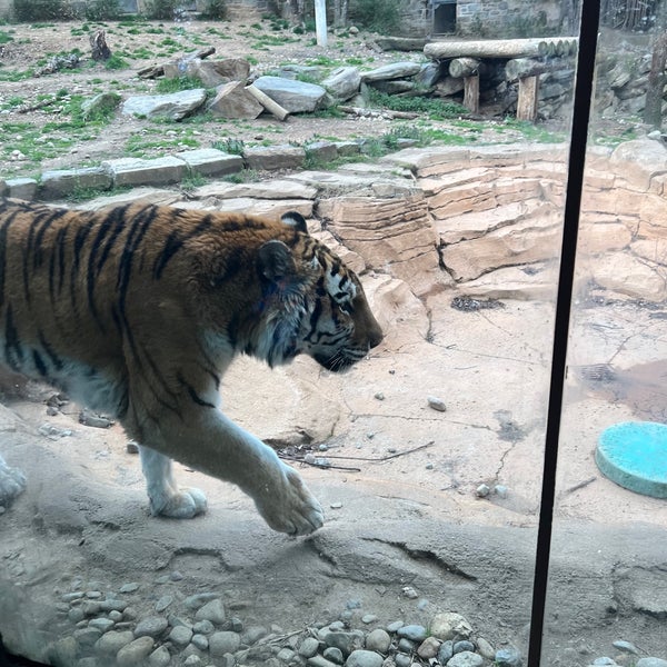 Foto tirada no(a) Philadelphia Zoo por Amos B. em 3/31/2024
