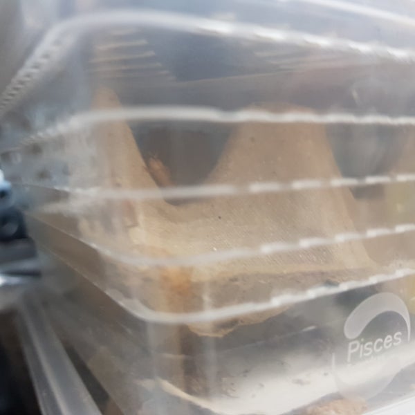Petbarn Pet Store In Belconnen