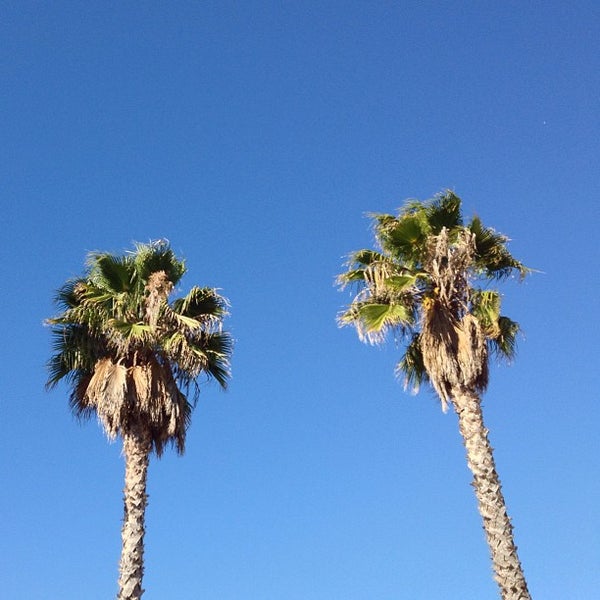 Levi's Outlet Store - Napa, CA