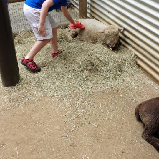 Sissy Island Petting Zoo