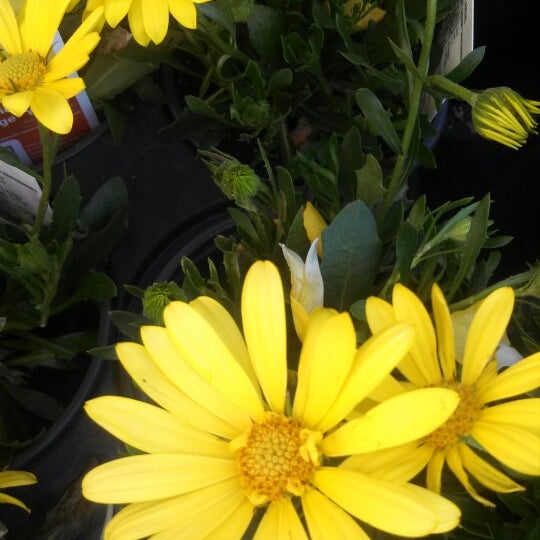 The Home Depot Northwest Nashua 12 Coliseum Ave