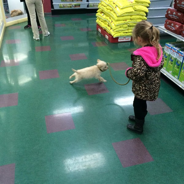 Petland Pet Supplies Store in Lewis Center